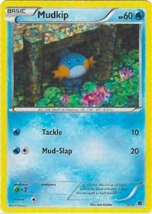 Mudkip 005/12 - Holofoil McDonalds Promos 2015 - Promo