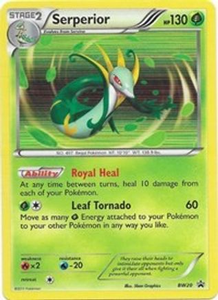 Serperior BW20 - Holofoil Black and White Promos - Promo