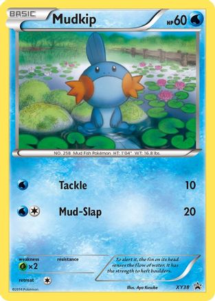 Mudkip XY38 - Holofoil XY Promos - Promo