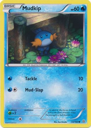 Mudkip 033/160  - Holofoil Miscellaneous Cards & Products - Promo