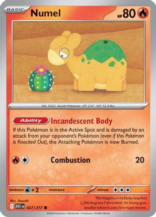 Numel 027/217  ME Ascended Heroes - Common