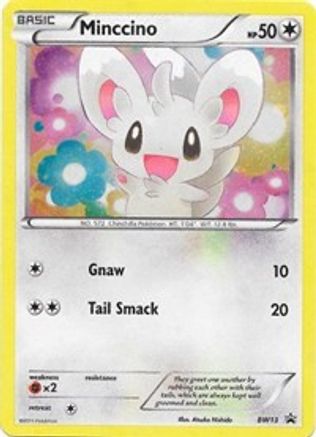 Minccino BW13  - Holofoil Black and White Promos - Promo